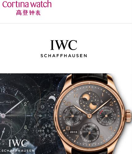 iwc watch price singapore|iwc most expensive watch.